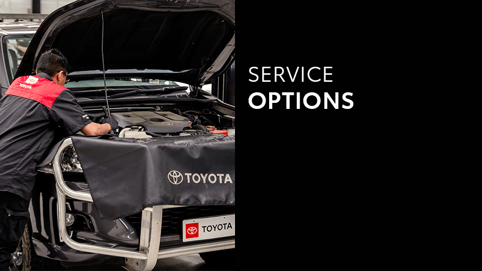 NST service