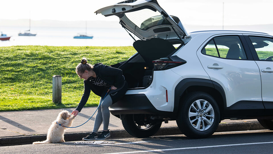 Fuel Economy Toyota NZ