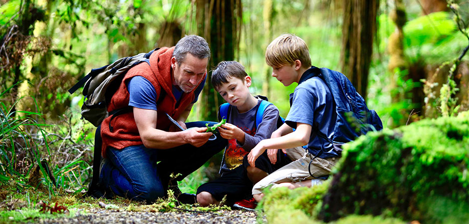 7,000-Kiwi-kids-are-now-Toyota-Kiwi-Guardians_HERO_940x450