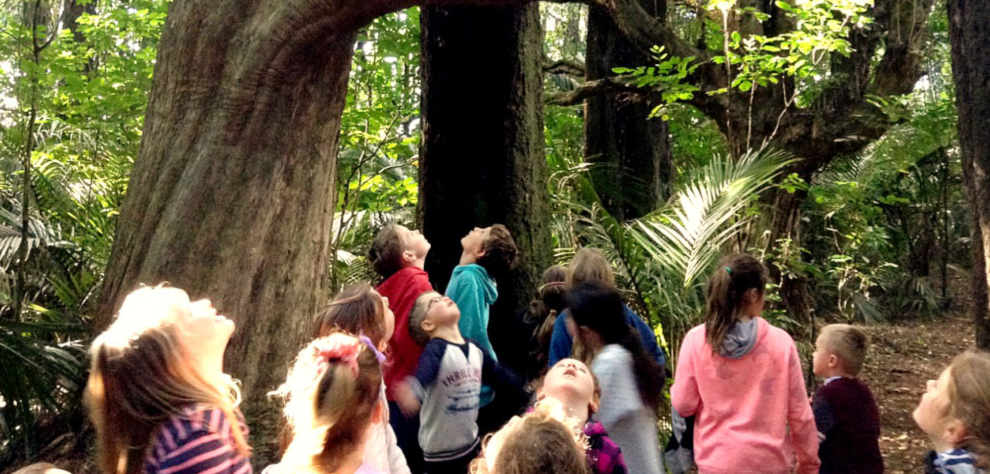 Believe_Web_ResponsiveEditorial_940x450px_ToyotaKiwiGuardians