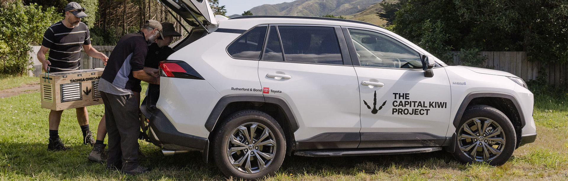 Capital Kiwi Hero 1920x614