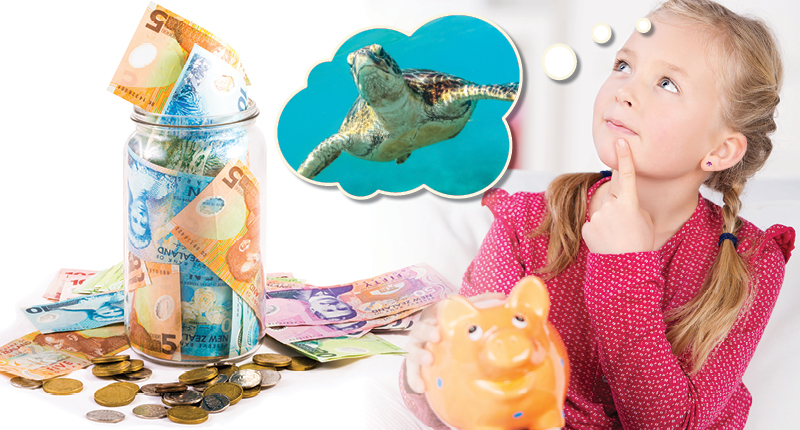 8939_Believe_20_Dollars_and_Sense_800x430_7