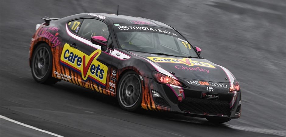 Hedge pole position (940 x 450)