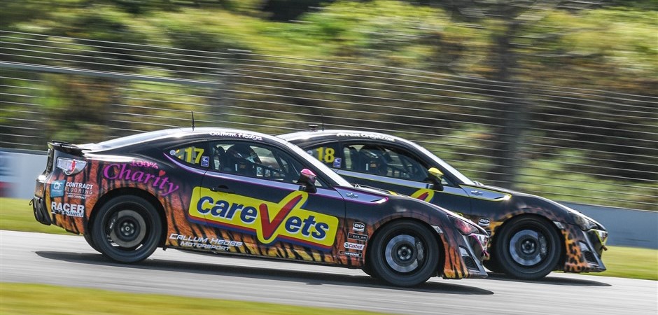 Carevets (940 x 450)