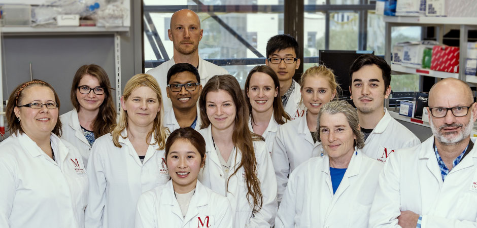 hero-the-healthy-fight