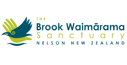 Brook Waimarama-440x225