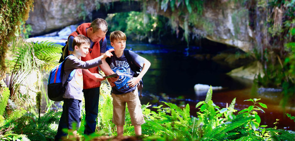 Become-a-kiwi-guardian-and-protect-nature-this-summer_HERO_940x450