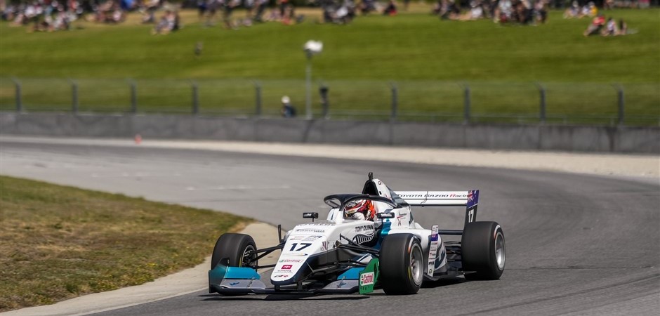 Hedge pole 1 (940 x 450)