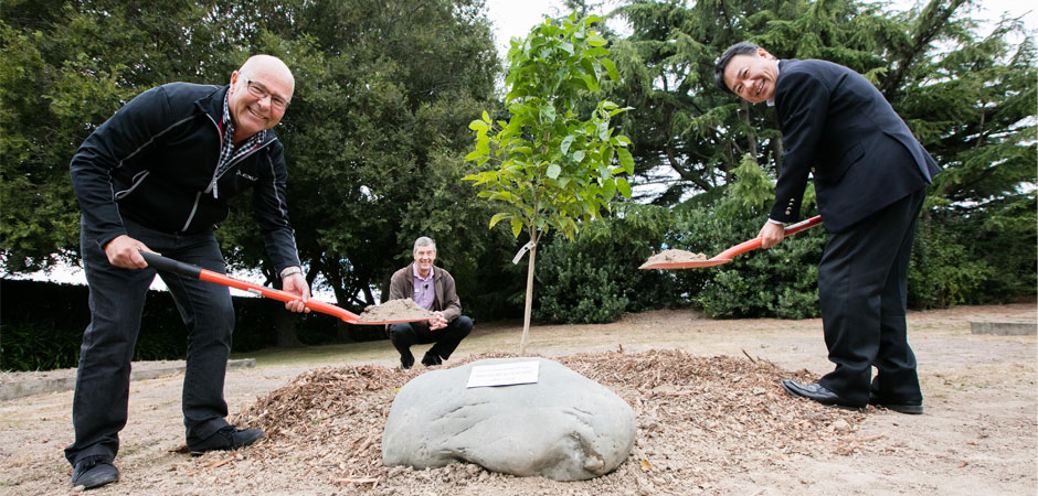 Toyota-Celebrates-50years-NewZealand_HERO_940x450